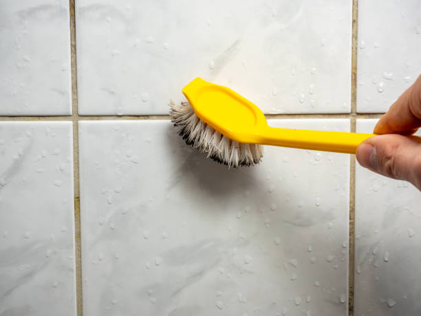 Best Mold Removal Process  in Allegan, MI