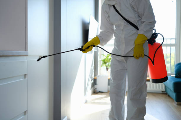 Best Office Mold Removal Services  in Allegan, MI