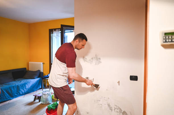 Best Mold Testing  in Allegan, MI