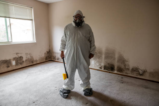 Best Office Mold Removal Services  in Allegan, MI